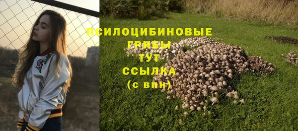 наркотики Белокуриха