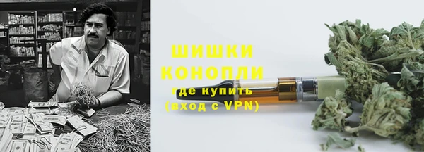 ПСИЛОЦИБИНОВЫЕ ГРИБЫ Белоозёрский