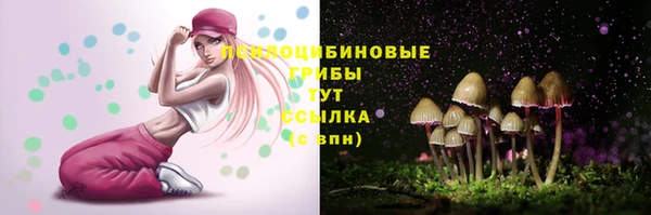 ешки Беломорск
