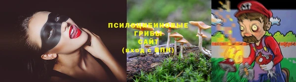 прущая мука Богородицк